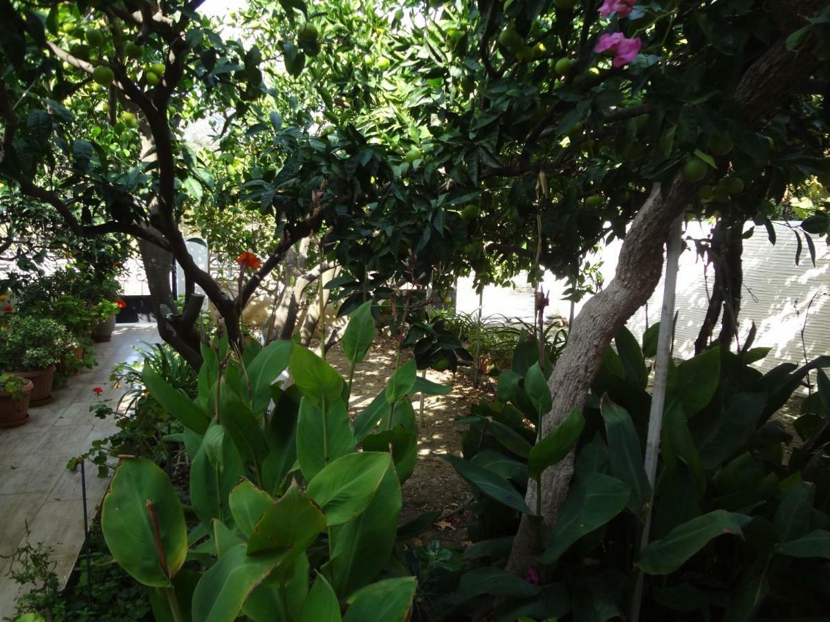 Khónias Cozy Citrus Garden House By The Seaside. 빌라 외부 사진
