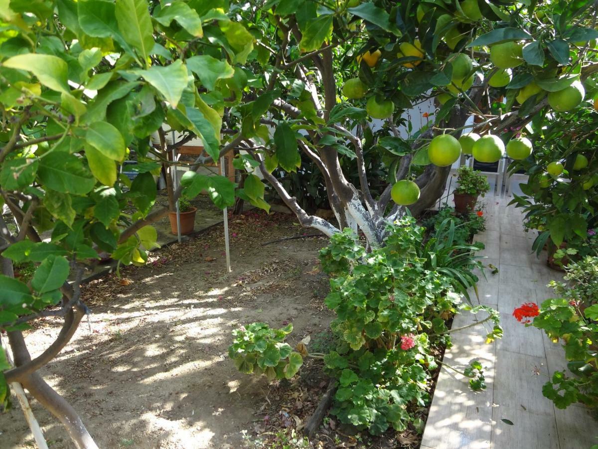 Khónias Cozy Citrus Garden House By The Seaside. 빌라 외부 사진